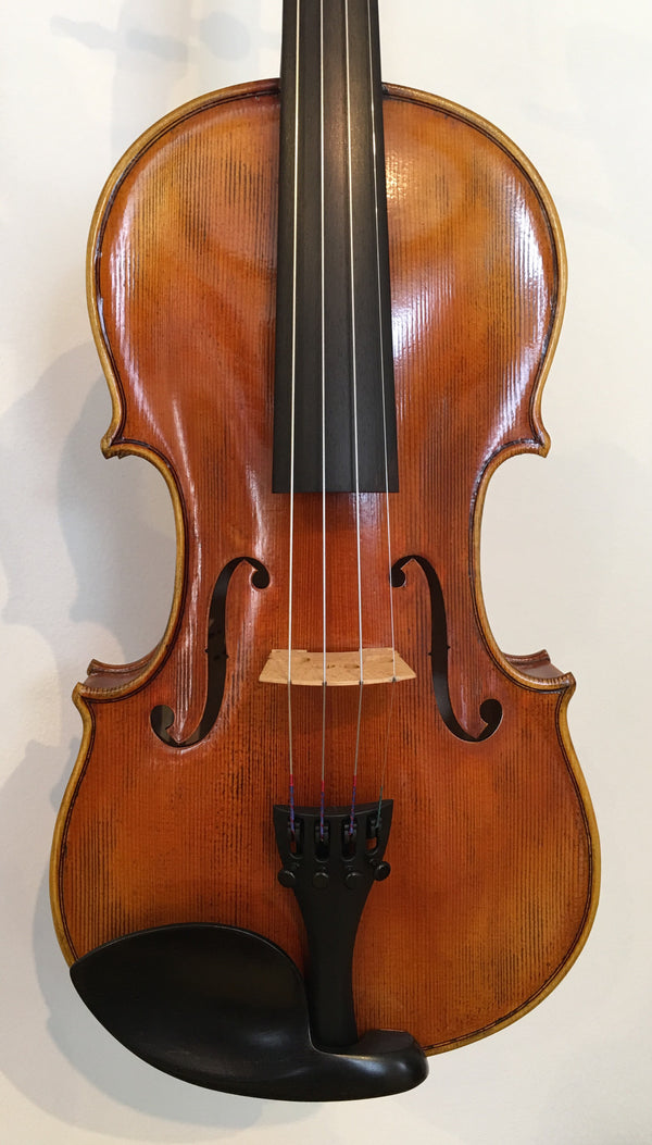 StringWorks Artist Violin Outfit