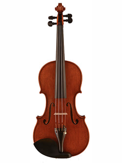 Man Claudiu Violin